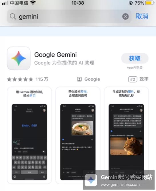 Gemini国内怎么使用？（中国大陆使用详细指南）